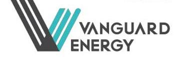 PT Vanguard Energy Group