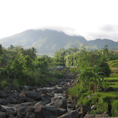 Survei Potensi Panas Bumi di Gunung Endut- PT. Jawa Termal Indonesia, Banten