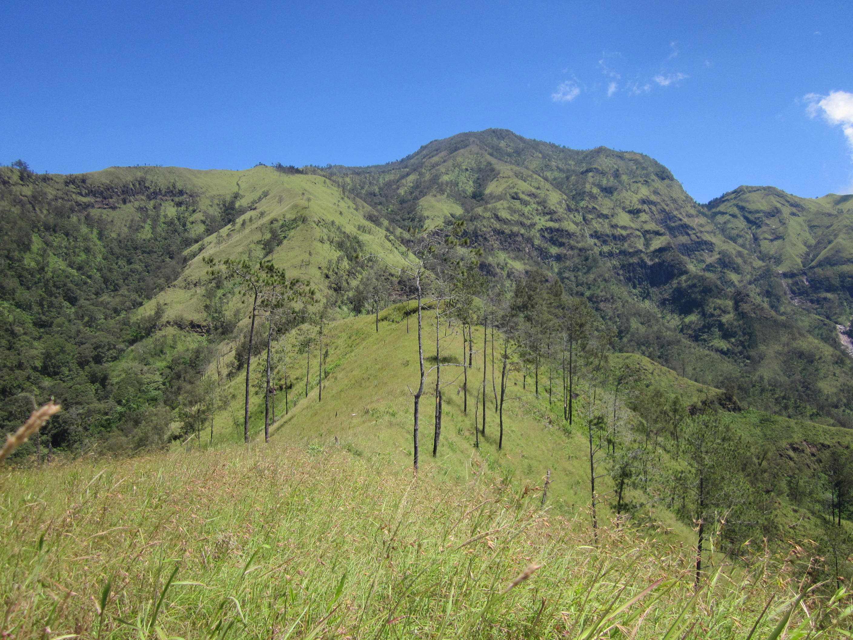 Gunung Wilis